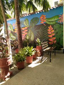 a bench sitting in front of a wall with plants at Hotel Almirante Padilla in Ríohacha