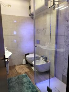 une salle de bains avec douche, toilettes et lavabo dans l'établissement 250 m dalla spiaggia! Spiaggia libera o attrezzata - LA CASA DI KATE, à Grado