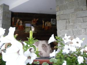 Fotografie z fotogalerie ubytování Maribel Hotel v Madonna di Campiglio