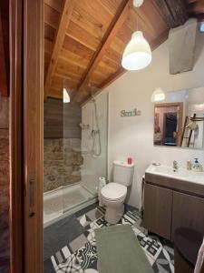 uma casa de banho com um WC, um chuveiro e um lavatório. em Casa da Serra da Estrela em Gonçalo