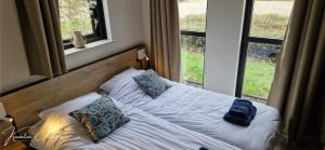 a bed with pillows on it in front of a window at Forestview 'Queenstown' 6 pers very child-friendly by Kawatea Cottages in Ewijk