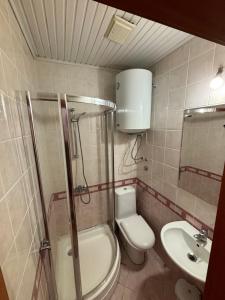 a small bathroom with a toilet and a sink at Villa KiWi in the Heart of Ohrid in Ohrid +29 photos