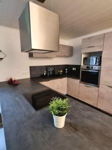 una cocina con electrodomésticos de acero inoxidable y una maceta en Appartement chaleureux 80m2, en Orbey