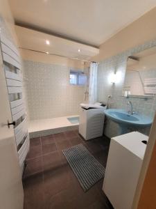 een badkamer met een blauwe wastafel en een douche bij Malva, gîte 2 pers, animaux admis in Balaguier-dʼOlt