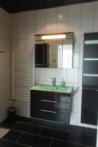 een badkamer met een wastafel en een spiegel bij HUGOS Design Apartment in Bobenheim-Roxheim
