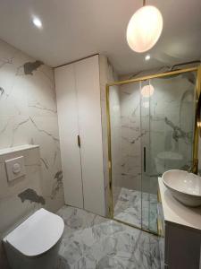 une salle de bains avec douche, toilettes et lavabo dans l'établissement Ty Thabor - Centre ville au calme 4 pers, à Rennes