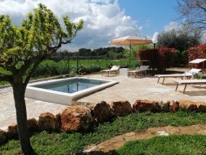 una piscina en un patio con 2 bancos y una sombrilla en Trullo Colori d'Itria, en Ostuni