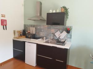 a kitchen with a sink and a counter top at Casa Campo ao Rio_Village in Barcelos