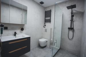 a bathroom with a shower and a sink and a toilet at Gdańsk ONE in Gdańsk +14 photos