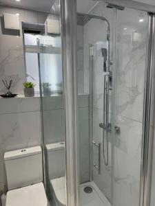 y baño con ducha y puerta de cristal. en 1 Bedroom Luxury Flat in Kensington, en Londres