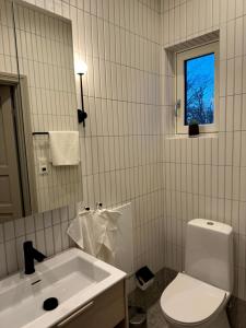 uma casa de banho com um WC, um lavatório e um espelho. em Elegant lägenhet i Professorstaden em Lund