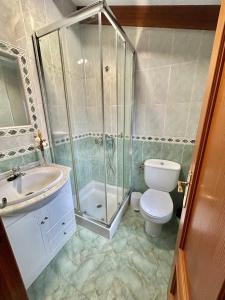 y baño con ducha, aseo y lavamanos. en La Cabaña de Agustin, en Ortiguero