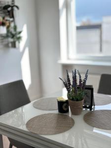 uma mesa com duas cadeiras e um vaso de plantas sobre ela em Butas pačiame Šiaulių miesto centre em Siauliai