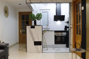 a kitchen with a plant on top of a refrigerator at Apartamento Exclusivo Centrico con parking in Ribadeo