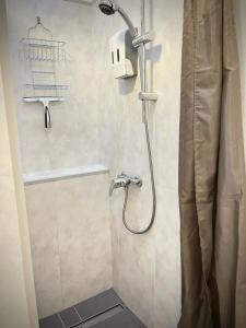 a shower with a shower head in a bathroom at Living at Saarpartments with 2 Bedrooms, Netflix- Business & Holiday Apartments for Long- and Short term Stay, 3 min to Train-Station and Europa Galerie in Saarbrücken