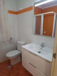 y baño con aseo, lavabo y espejo. en Apartamento Redondela céntrico, en Pontevedra