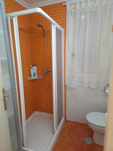 y baño con ducha y aseo. en Apartamento Redondela céntrico, en Pontevedra