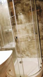 W łazience znajduje się prysznic ze szklanymi drzwiami. w obiekcie Magnolia1 w Toruniu