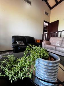uma sala de estar com um vaso de plantas sobre uma mesa em Queen Size Bedroom Near Sawn River em Perth