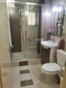 ein Bad mit einer Dusche, einem WC und einem Waschbecken in der Unterkunft VILI APARTMENTS STAR DOJRAN in Star Dojran