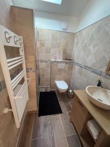 a bathroom with a shower and a toilet and a sink at Maisonnette dans la vallée verte in Fillinges