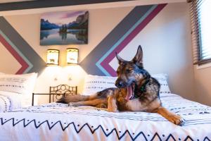 een hond op een bed in een slaapkamer bij Astoria Hotel in Jasper