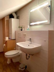a bathroom with a sink and a toilet and a mirror at Ferienhaus Erholung Pur in Boltenhagen