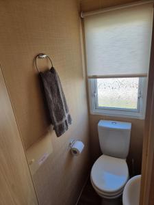 a small bathroom with a toilet and a window at Palm Grove 110 in Chapel Saint Leonards +3 photos