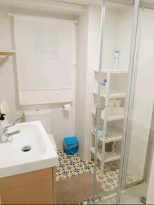 a bathroom with a shower and a toilet and a sink at Apartamento céntrico en Granada con garaje gratis. in Granada
