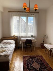 - une chambre avec un lit, une table et une fenêtre dans l'établissement Spacious apartment - free parking!, à Prague