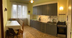 Kuchyň nebo kuchyňský kout v ubytování Spacious apartment - free parking!