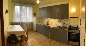 eine Küche mit grauen Schränken, einem Tisch, einem Tisch und einem Tisch. in der Unterkunft Retro apartment in Prag
