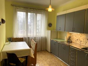 eine Küche mit einem Tisch, einem Tisch und einem Fenster in der Unterkunft Retro apartment in Prag