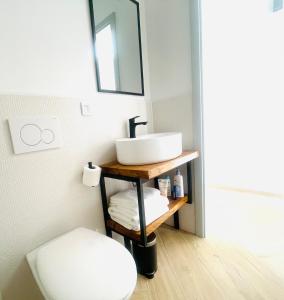 a bathroom with a sink and a toilet at Luxury Holiday House BREJZOV BREJG in Dankovci