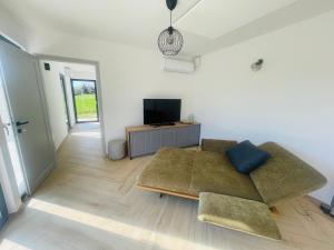 a living room with a couch and a tv at Luxury Holiday House BREJZOV BREJG in Dankovci