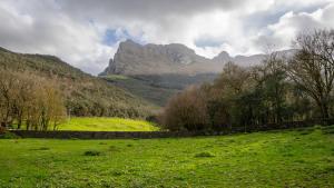 a green field with a mountain in the background at Apartamentos Iramar in Ramales de la Victoria