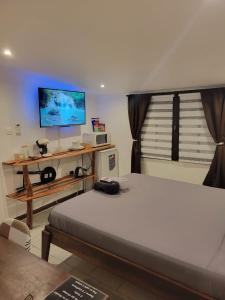 ein Schlafzimmer mit einem Bett und einem TV an der Wand in der Unterkunft Hudace in Saint-Laurent du Maroni
