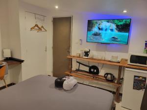 een slaapkamer met een bed en een tv aan de muur bij Hudace in Saint-Laurent du Maroni