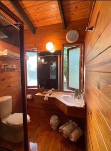 a bathroom with a sink and a toilet and a mirror at Krishna Farm Retreat in Coolabine