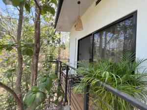 einen Balkon eines Hauses mit Pflanzen in der Unterkunft La Jungla in Carrillo