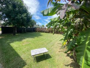 eine kleine Bank, die mitten im Hof sitzt in der Unterkunft Los Cardenales in San José