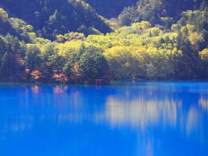 ein großer blauer See mit einem Haufen Bäume in der Unterkunft Hotel Iwasuge in Yamanouchi