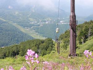 a gondola ride on a hill with pink flowers at Hotel Iwasuge in Yamanouchi