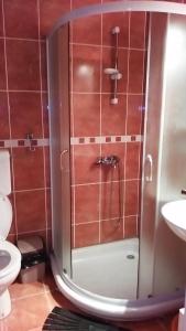 y baño con ducha, aseo y lavamanos. en Vila Mitic, en Zlatibor