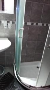 y baño con ducha y puerta de cristal. en Vila Mitic, en Zlatibor