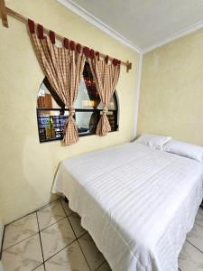 Gallery image of Hostal Flore Del Lago 4 in Panajachel