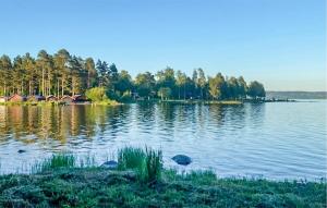 a large lake with trees and houses on the shore at Amazing Home In Vikarbyn With Kitchen in Vikarbyn