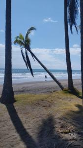 eine Palme, die sich am Strand lehnt in der Unterkunft Sarita's House in Esterillos Este