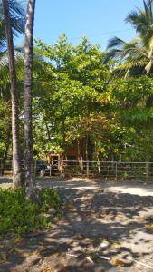 eine unbefestigte Straße mit Palmen und einem Zaun in der Unterkunft Sarita's House in Esterillos Este