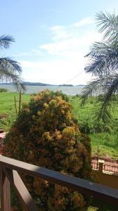 een uitzicht op een struik op een veranda met een hek bij Luzira port bell lake side apartment in Kampala